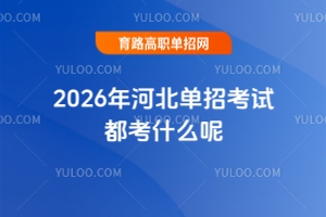 2026ӱпԇʲô