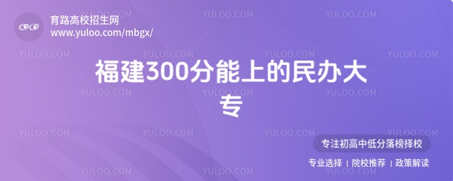 2025긣300ϵkЩ