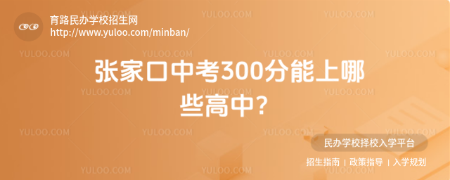 ҿп300Щ